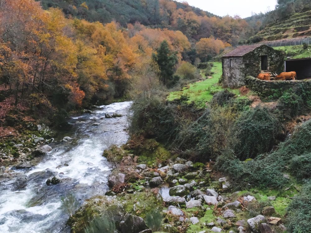 Photograph by Ana Carneiro