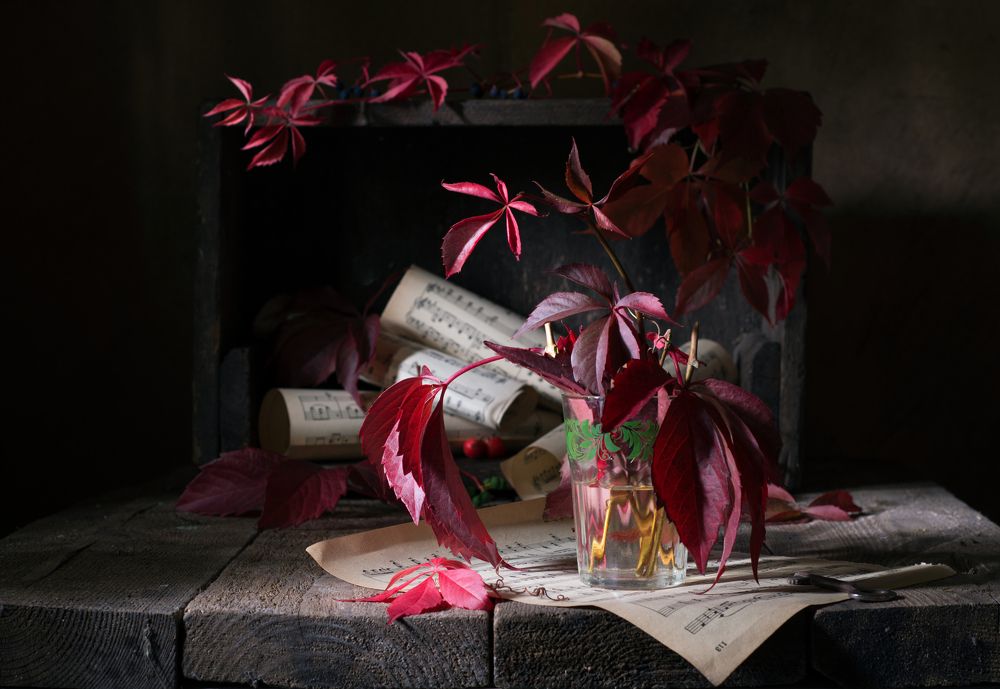 Осенняя соната/Autumn Sonata