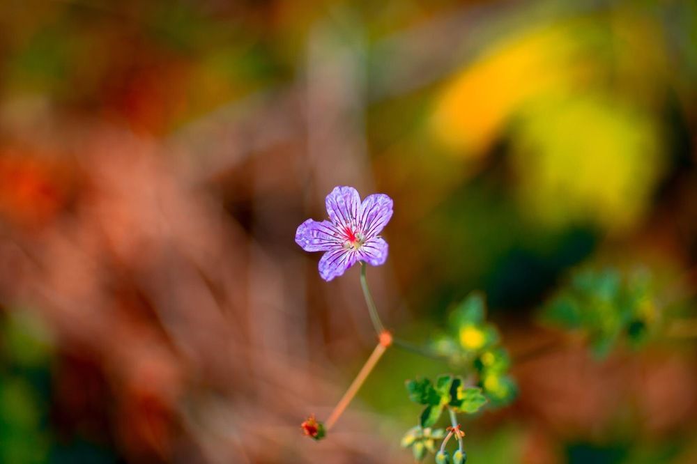 Photograph by Екатерина Прядко