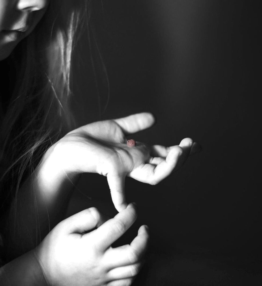 Photograph by Екатерина Прядко