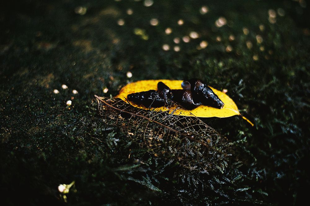 Photograph by Nunong Tindin