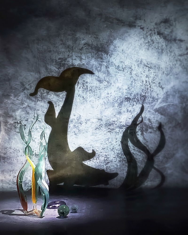 Фотография автора Виктория Шаманова