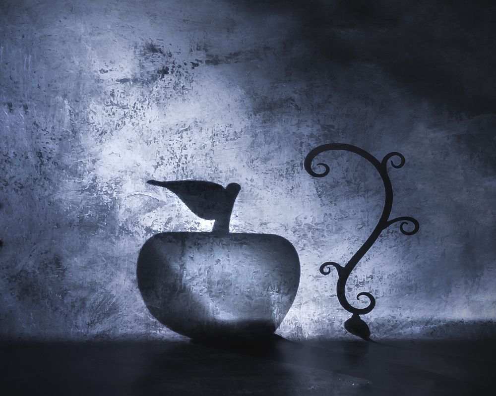 Фотография автора Виктория Шаманова