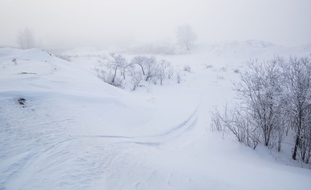 Photograph by Роман Титов