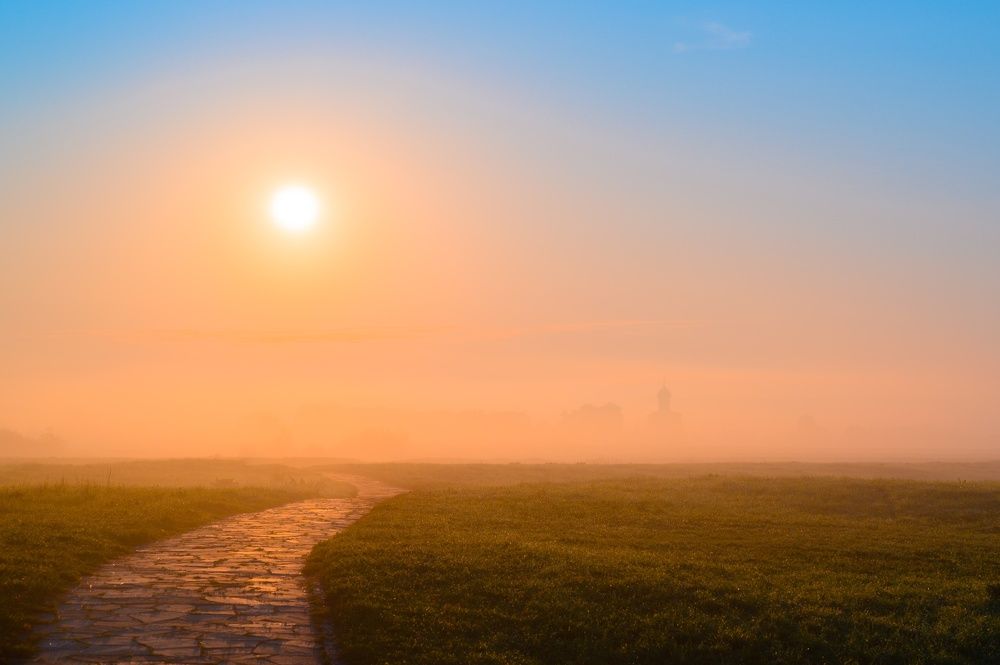 Раннее утро.