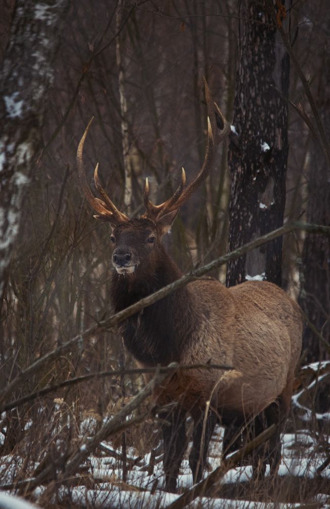 Photograph by Александр Овсенёв