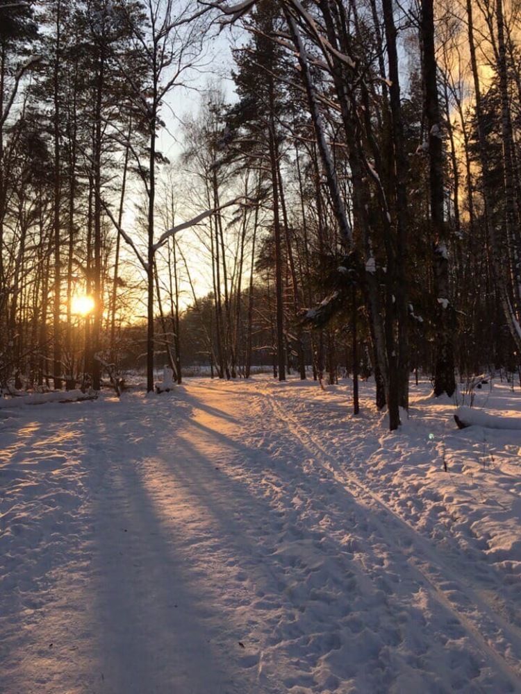 Фотография автора Аркадий Коновалов