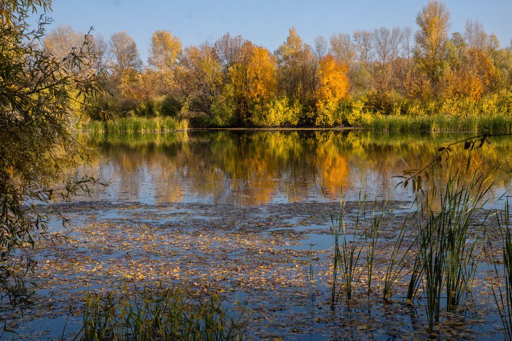 Photograph by Елена Гольдебаева