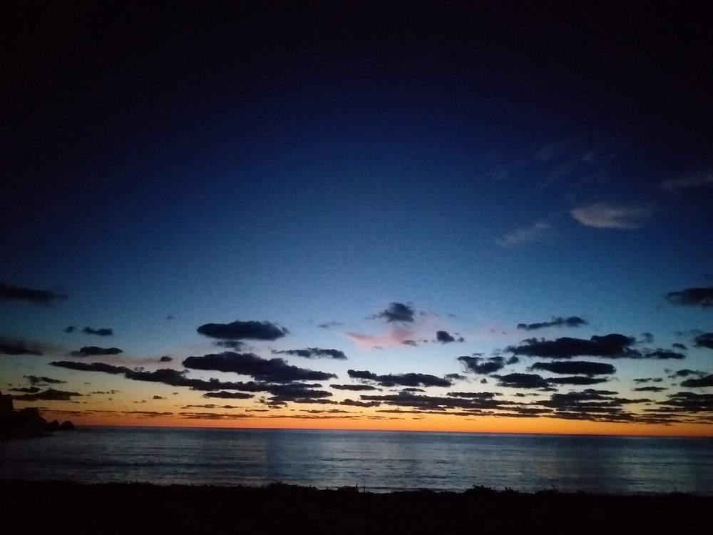 Photo #5636900