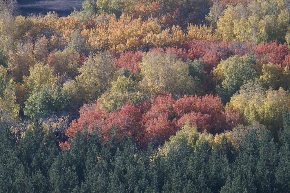 Photograph by Нияз Мирхайдаров