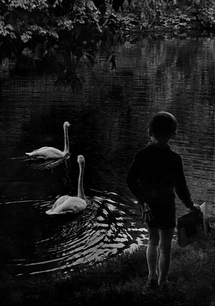 Photograph by Зоя Быкова