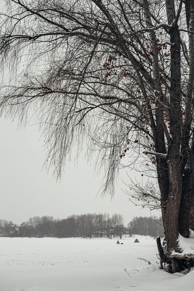 Photograph by Елена Петрюк