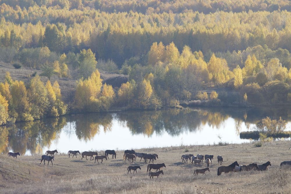 Photograph by Нияз Мирхайдаров