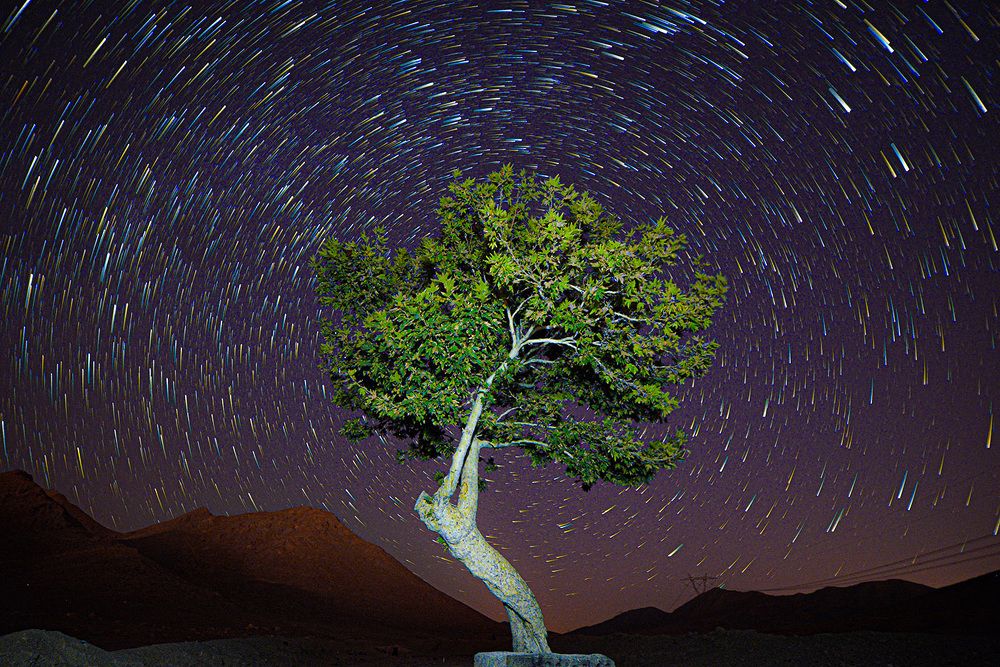 Photograph by Reza Mohammadi