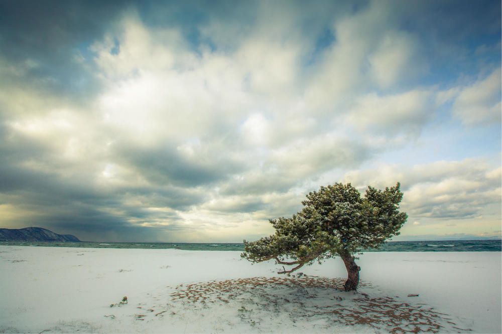 Photograph by Алексей Ловцов