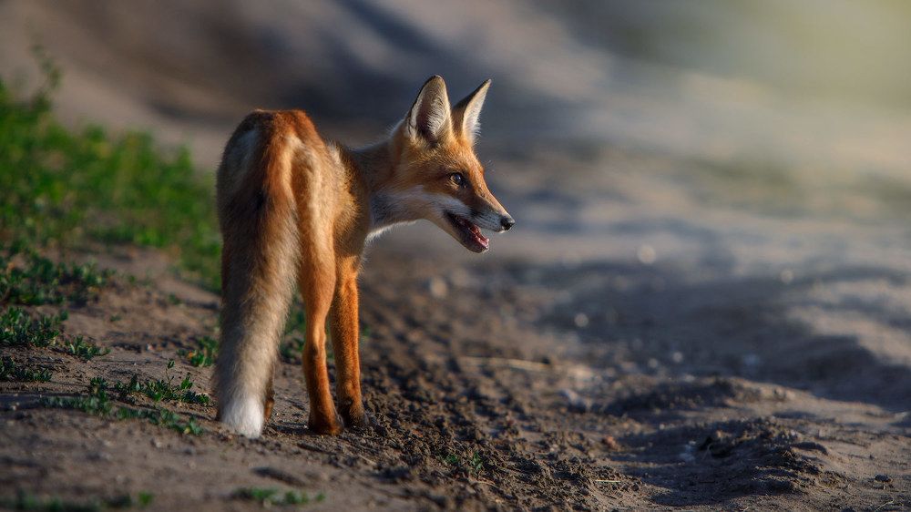 Photograph by Аркадий Саямов