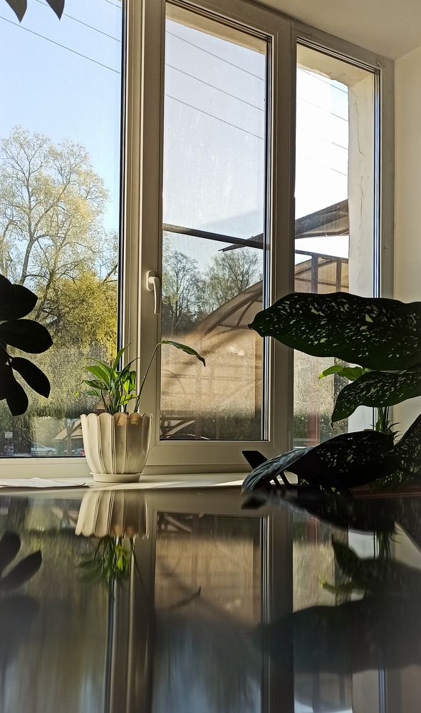 Фотография автора Алёна Подгорная