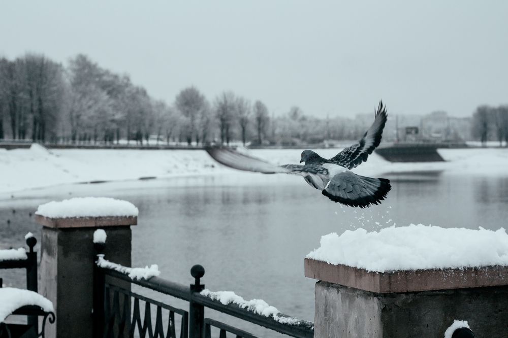 Photograph by Наталья