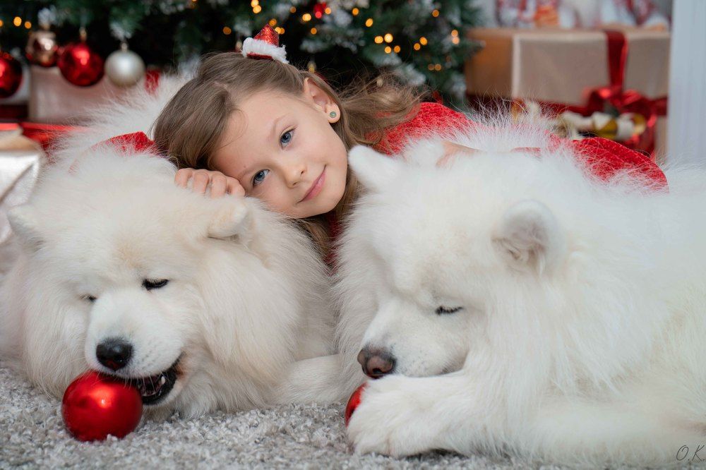 Photograph by Olga Kimerling