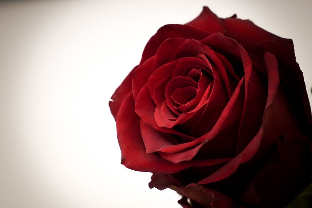 Фотография автора emanuele russo