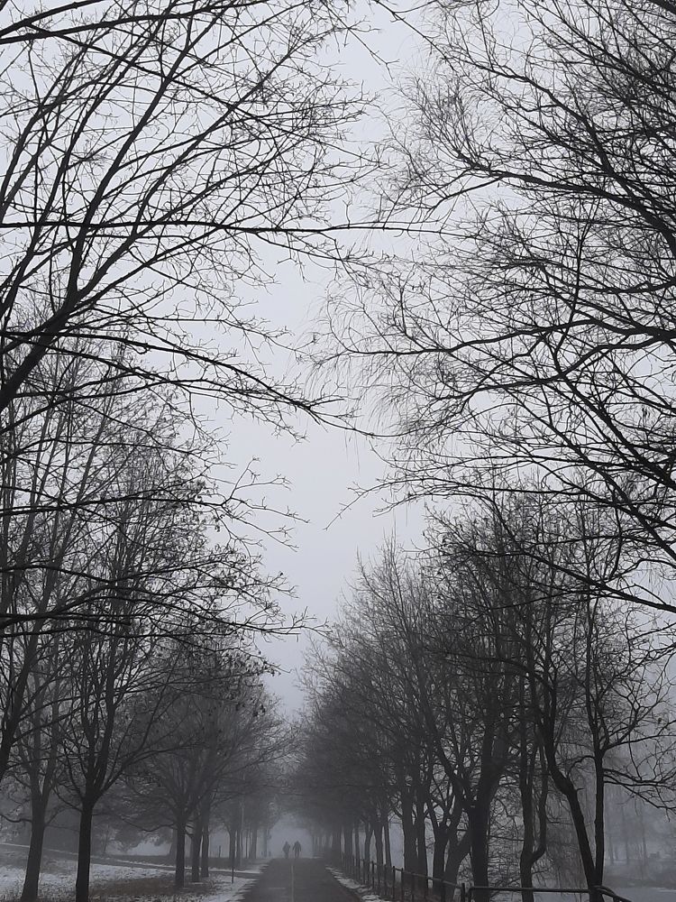 Photograph by Оксана Корепанова