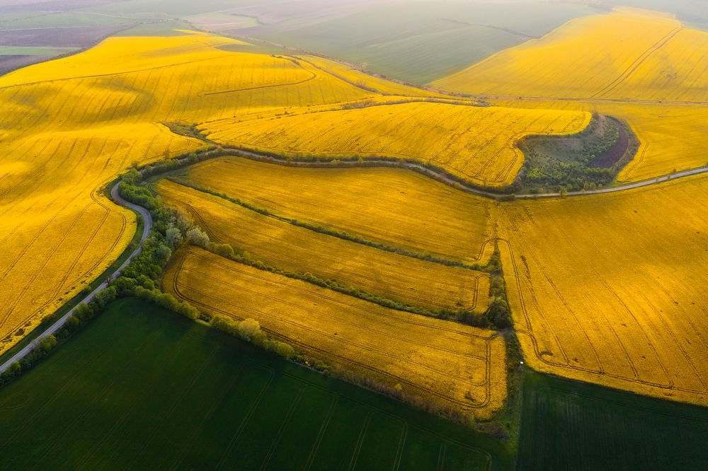 Доспехи весны