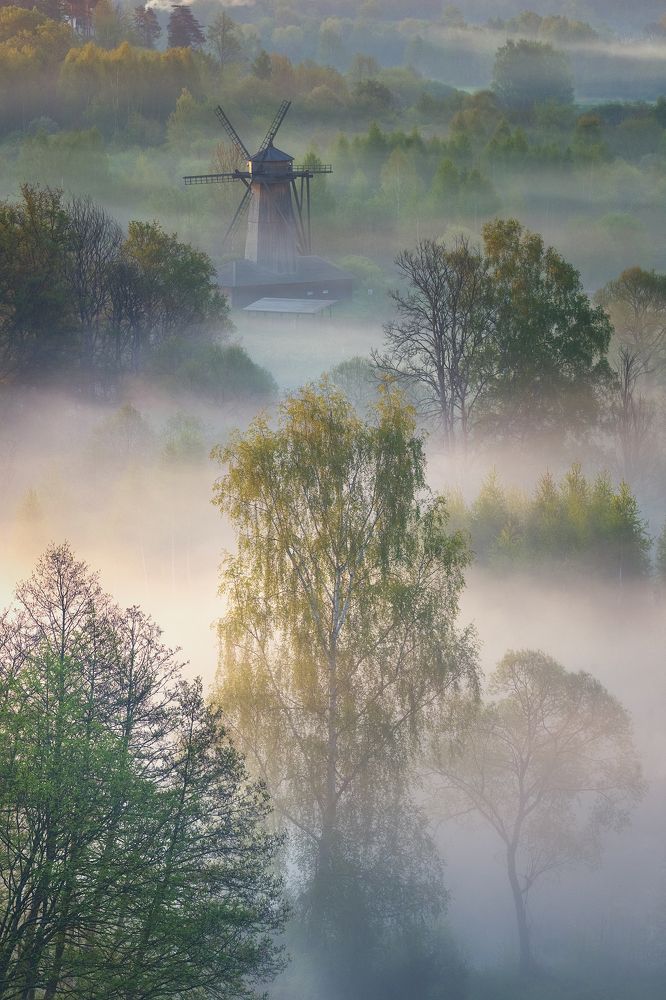 Утро в Подмосковье