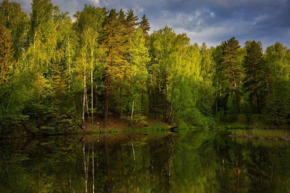 Перед дождём