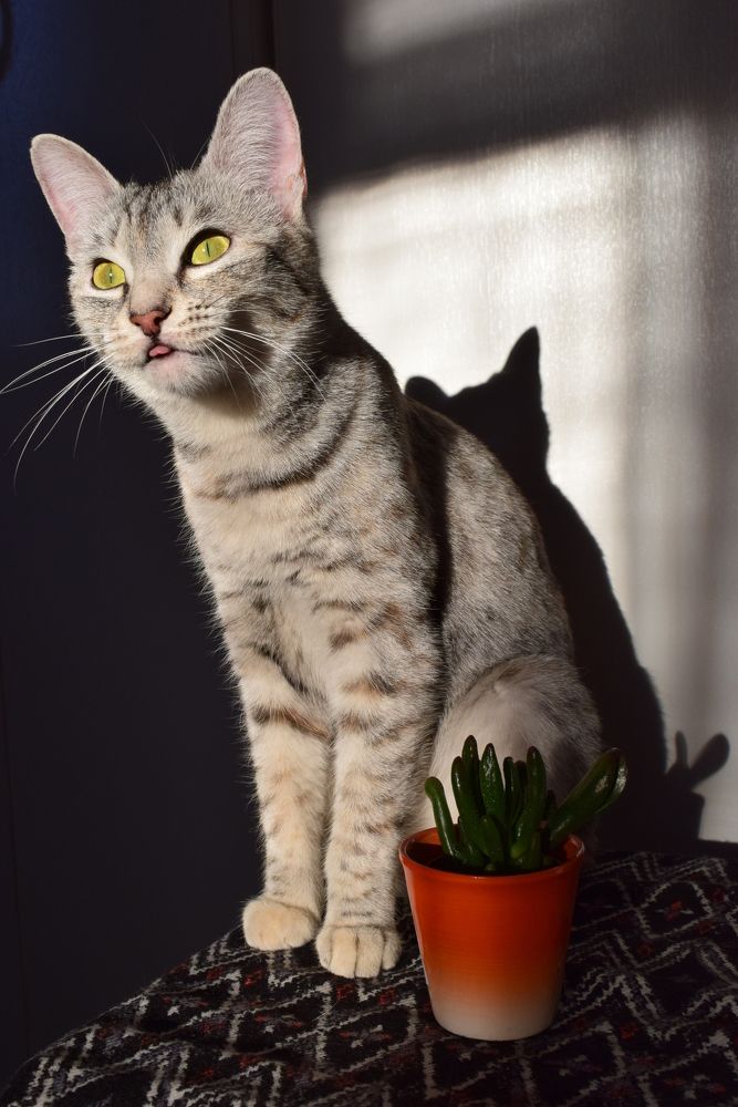 Photograph by Екатерина Вострякова