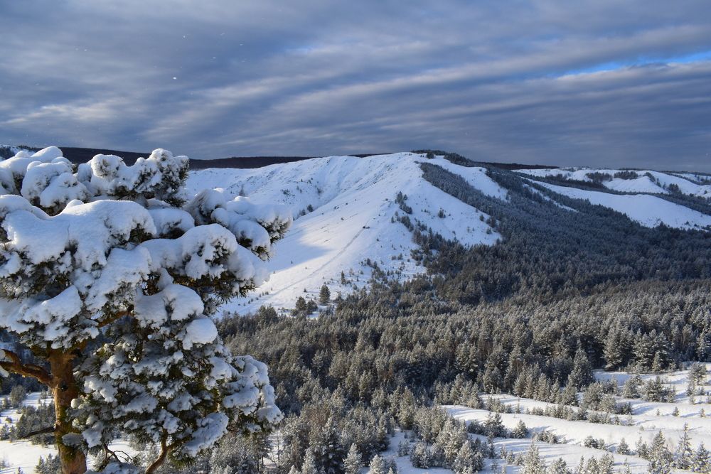 Photograph by Екатерина Вострякова