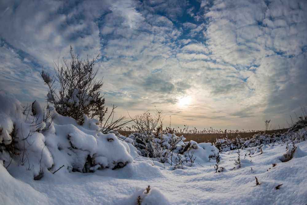 Photograph by Дмитрий Власов