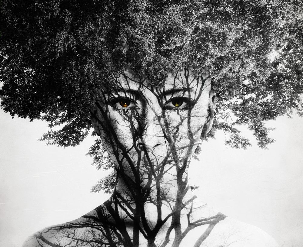 Photograph by KAWAKAMI KAZUTOSHI