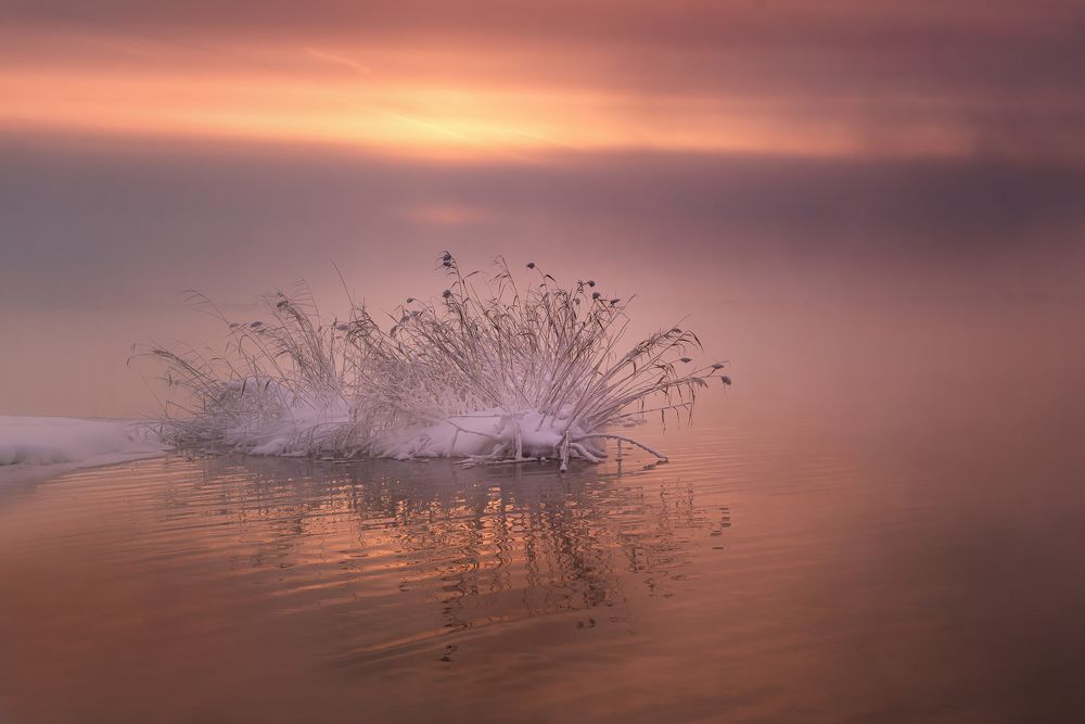 Photograph by Инна Макеева