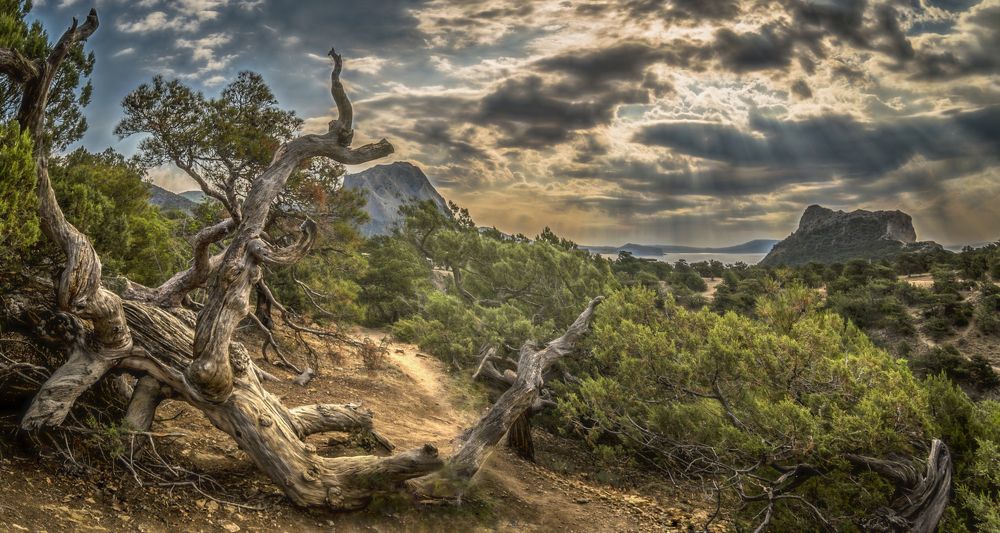 Там , на неведомых дорожках.......