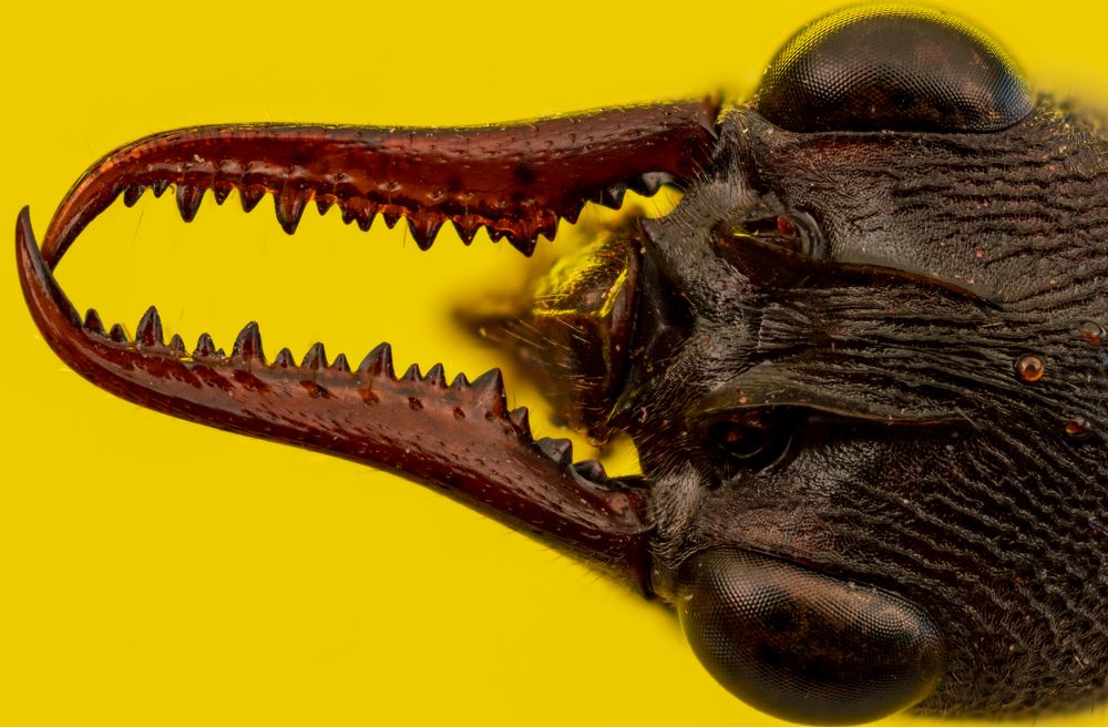 Photograph by Глеб Коровко