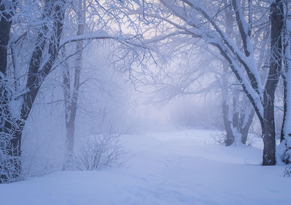 Photograph by Инна Макеева