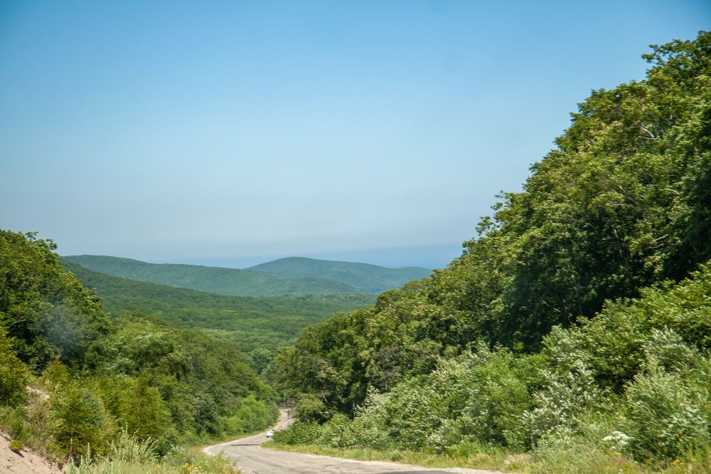 Photograph by Ксения Дмитриева