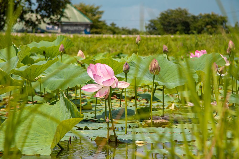 Photograph by Ксения Дмитриева