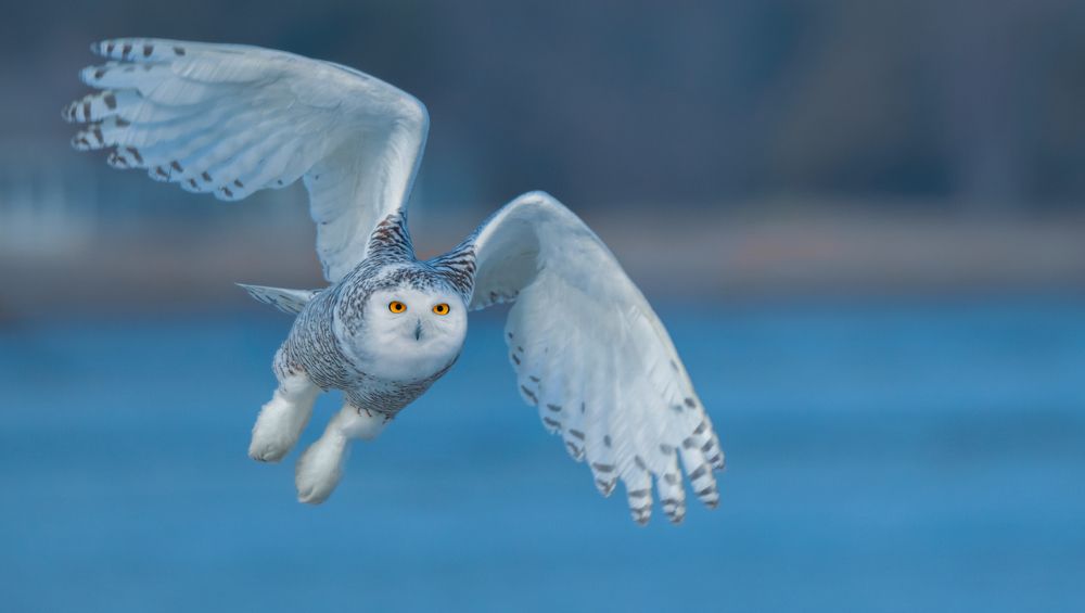 Photograph by  HITTHEROAD