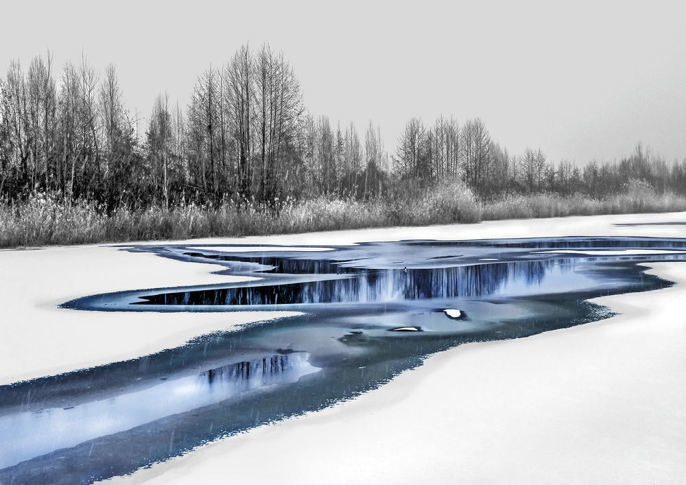 "ПЕРВОЛЕДЬЕ"