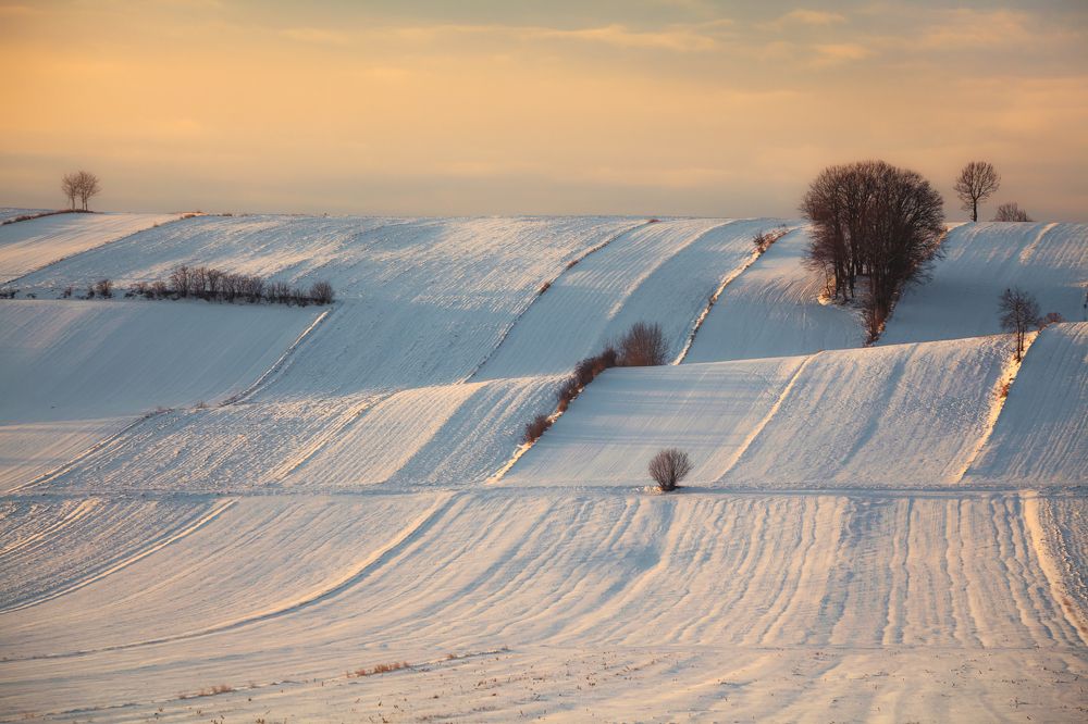 Photograph by Figat Marcin