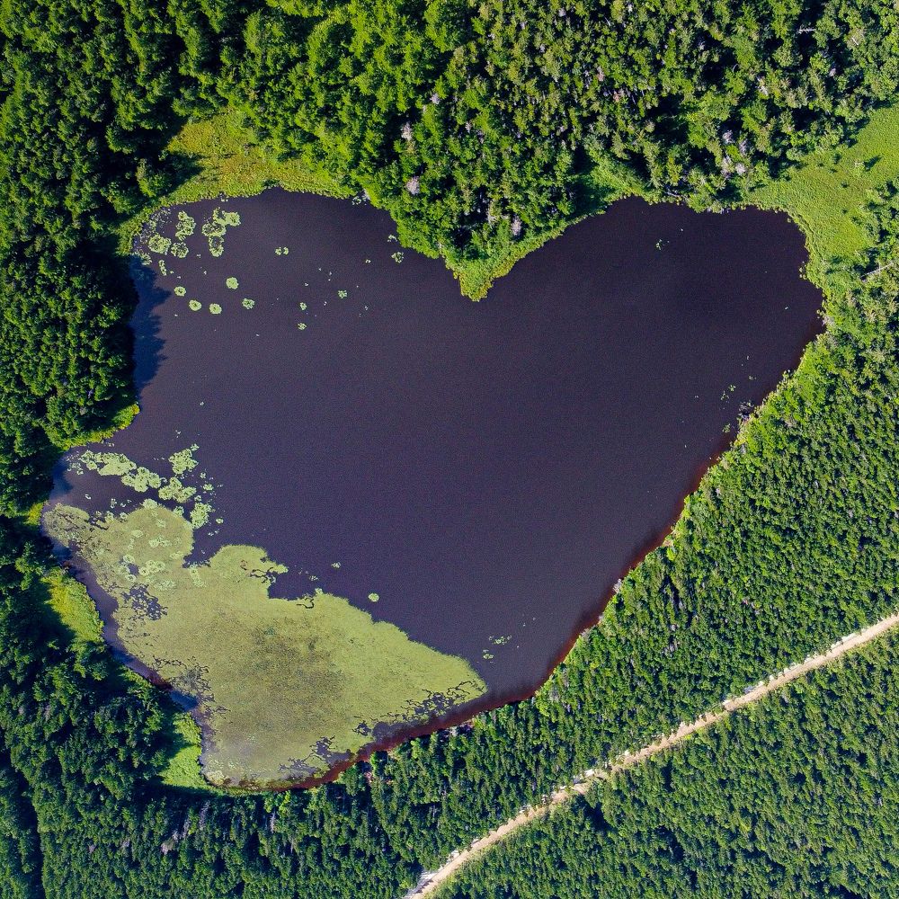 Photograph by Алексей Шарапов