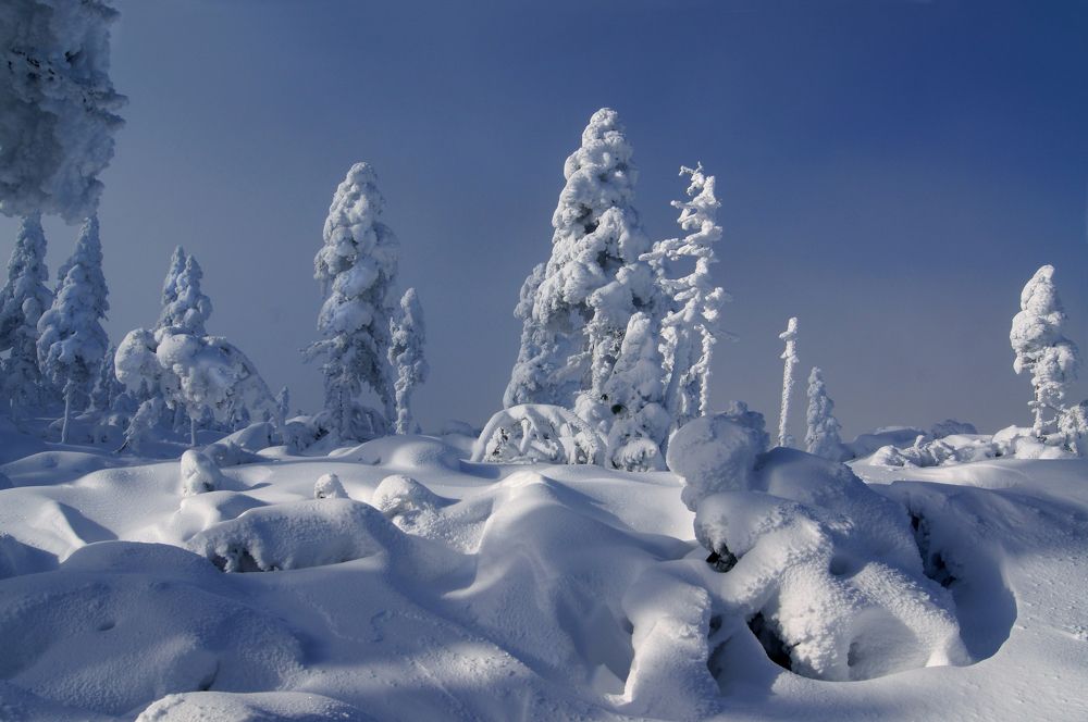 Photograph by Ирина Щеглова