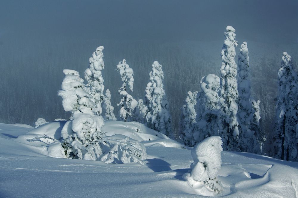 Photograph by Ирина Щеглова