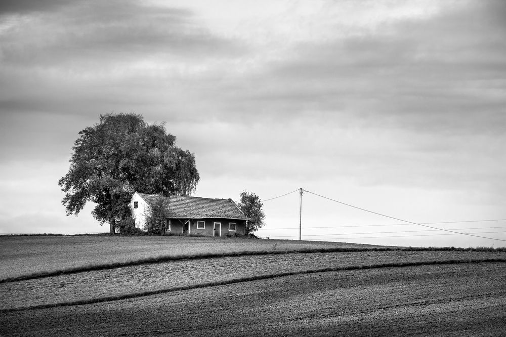 Photograph by Figat Marcin