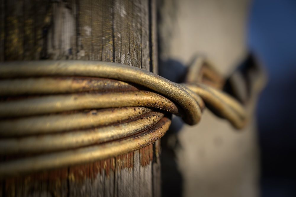 Photograph by Александр Заяц