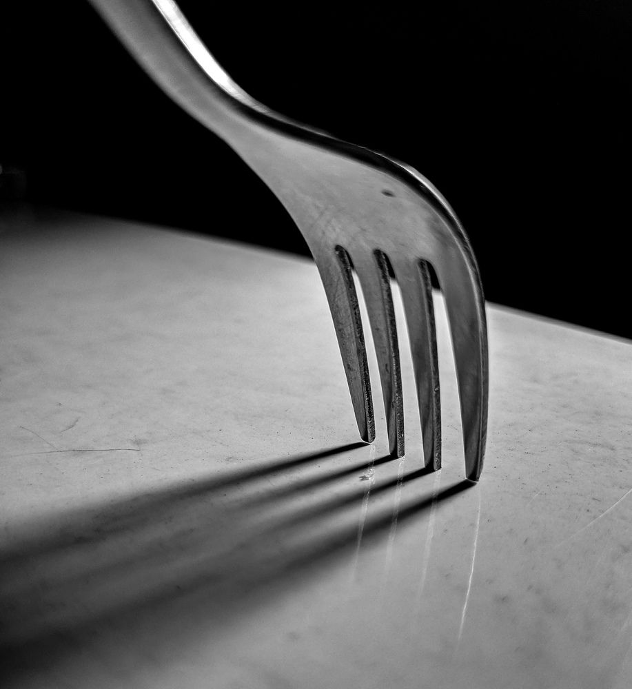 Photograph by Utkarsh Sinha