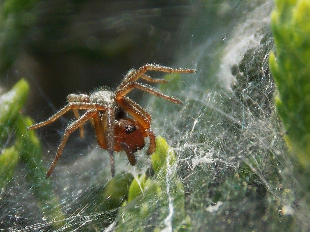 Photograph by Олександр Розум