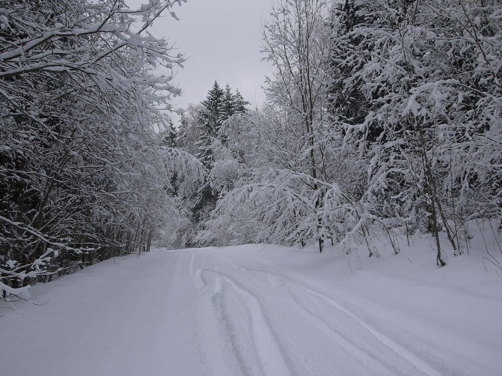 Photograph by Иван Скрипкин