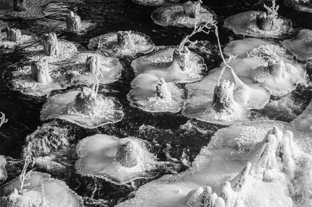 Photograph by Наталия Морозова